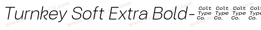 Turnkey Soft Extra Bold字体转换